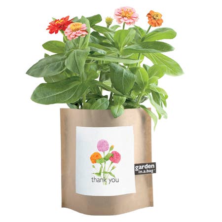 Garden in a Bag Thank You | Best Seller | Appreciation Gift