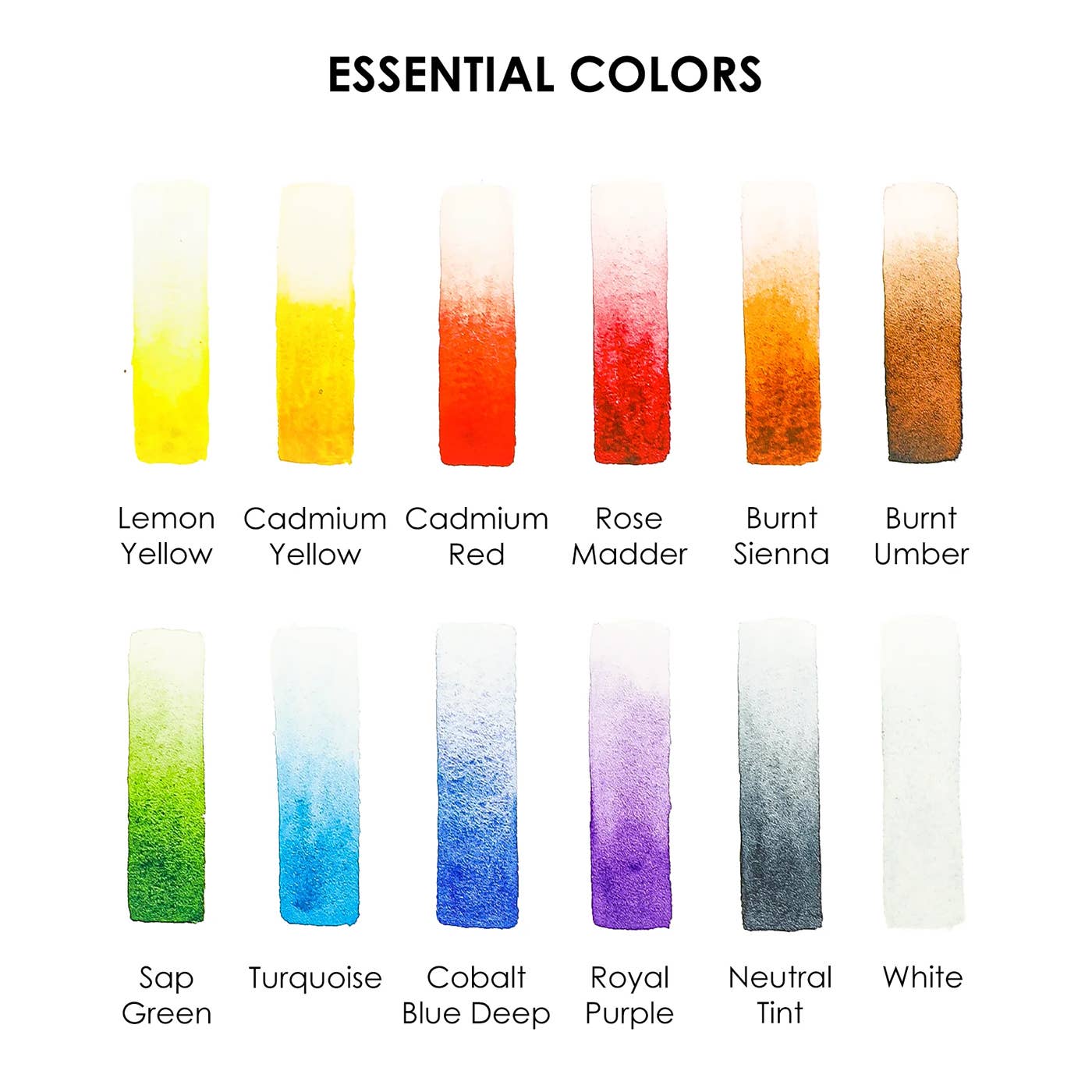 Grabie Watercolor Set Of 12 With Brush - Essential Colors
