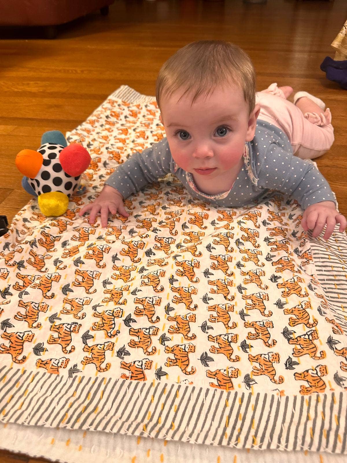Block Printed Kantha Baby Blanket - Tiger Print 