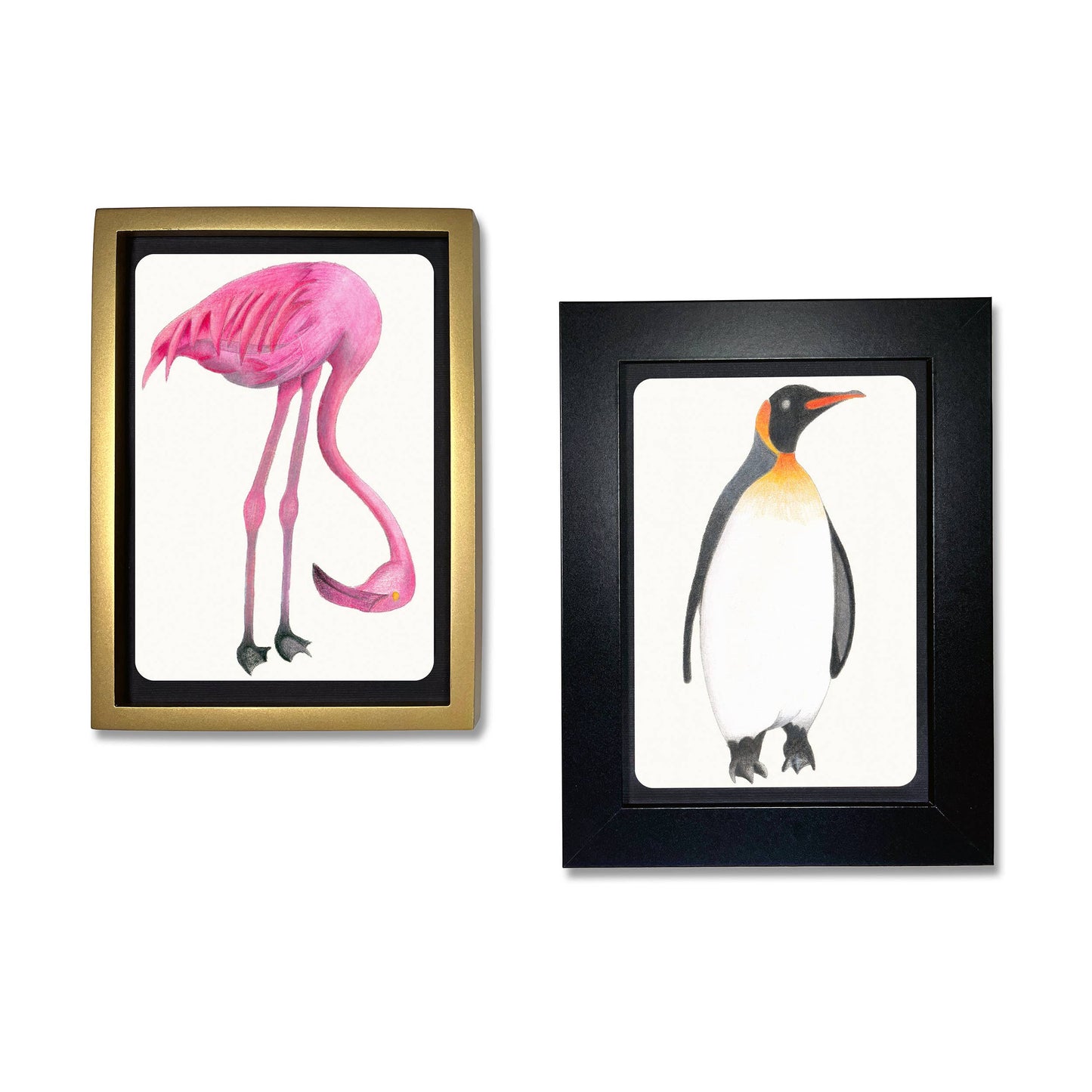 Coloring Postcards w/ 6 Bird Designs (30cards) Stationary