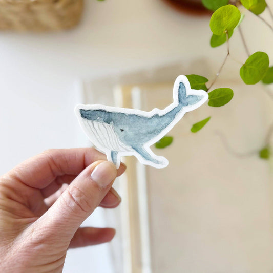 Whale sticker