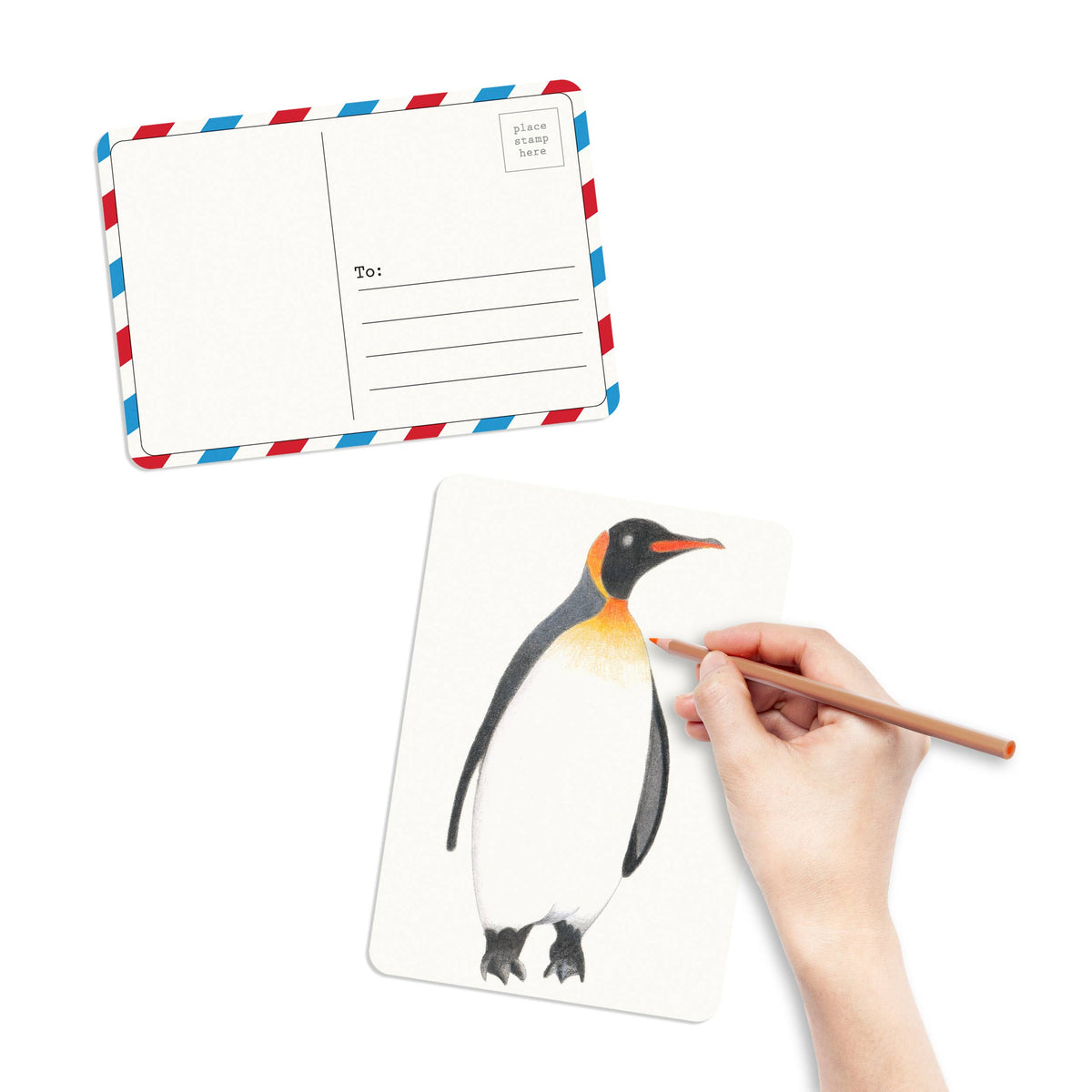 Coloring Postcards w/ 6 Bird Designs (30cards) Stationary